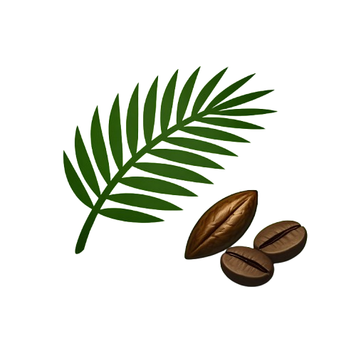 Palm By-Products & Derivatives