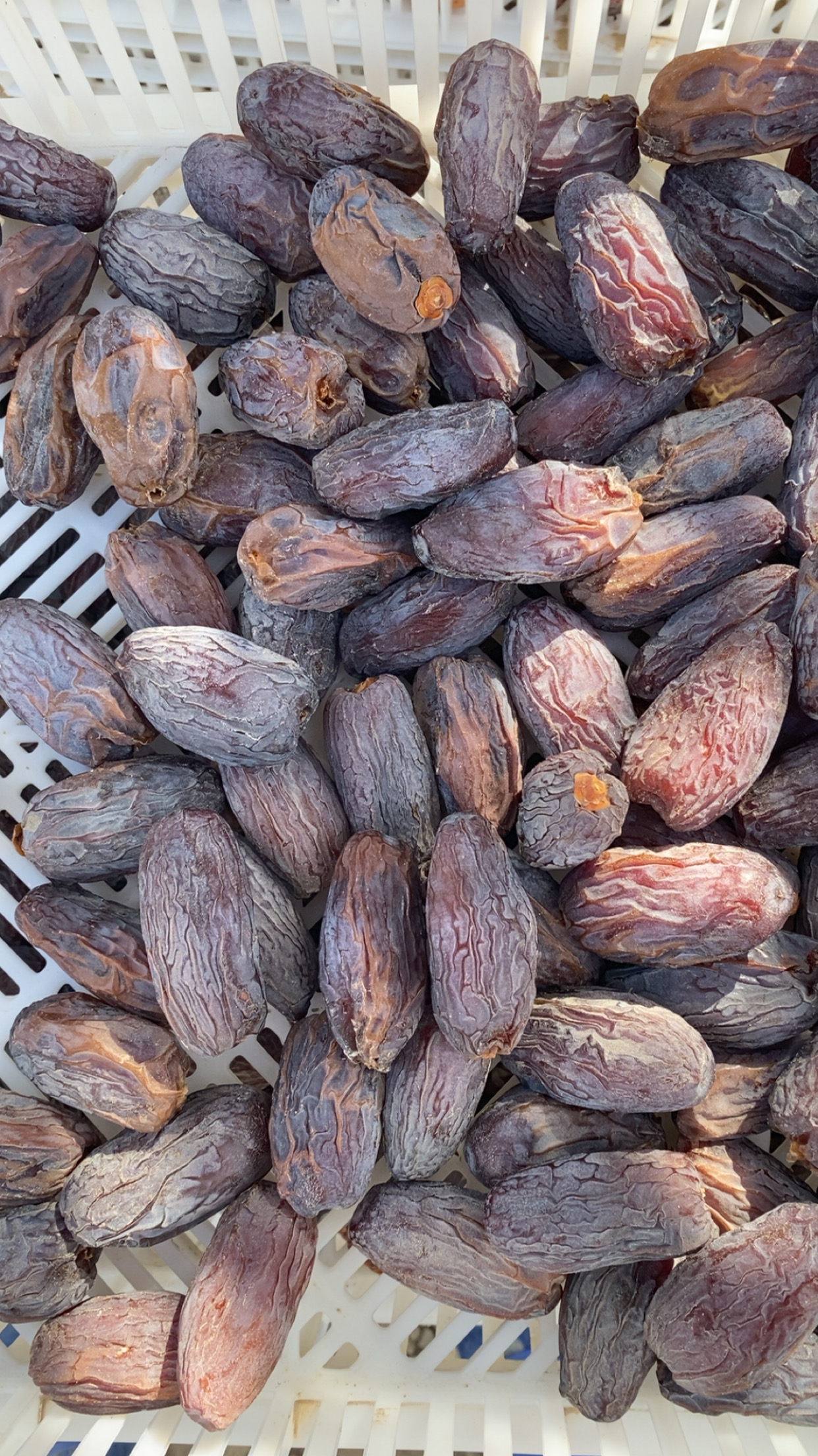 Al-Fadhil Dates