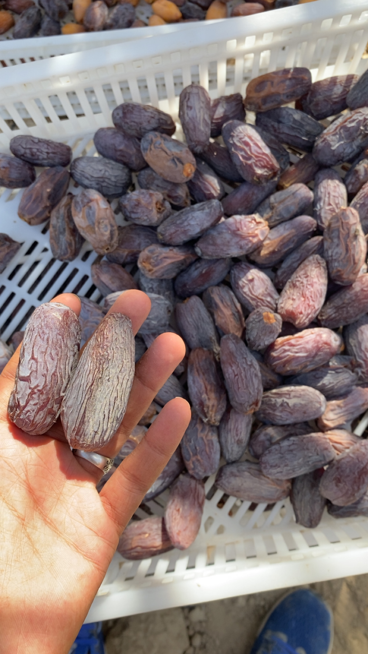 Al-Fadhil Dates