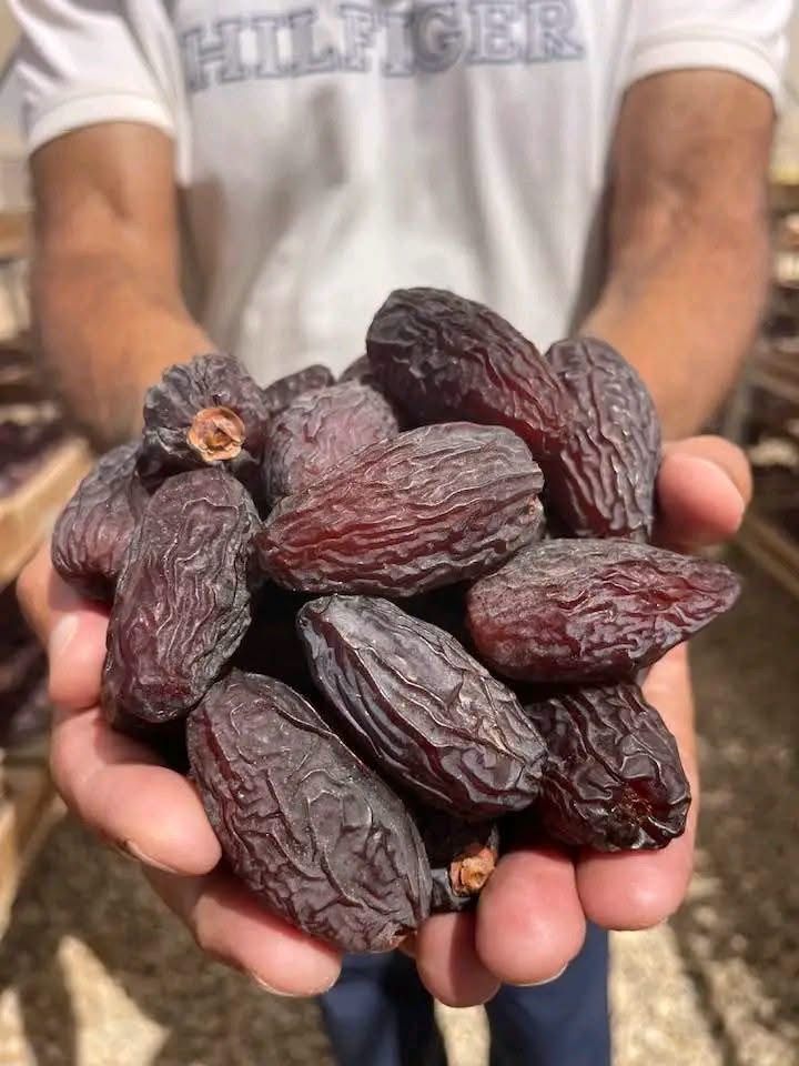 Premium Medjool Dates