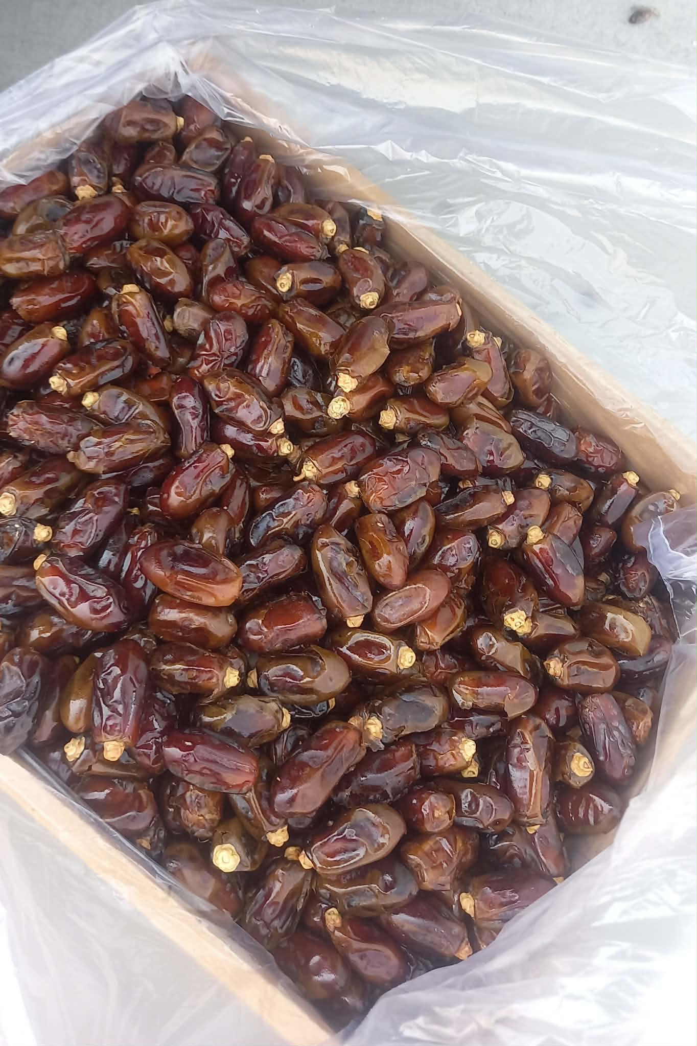 Dates