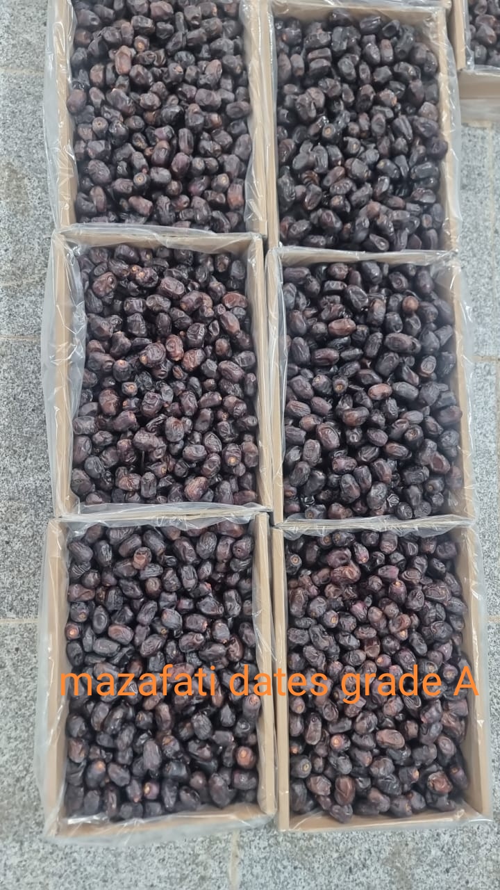 Mazafati dates 