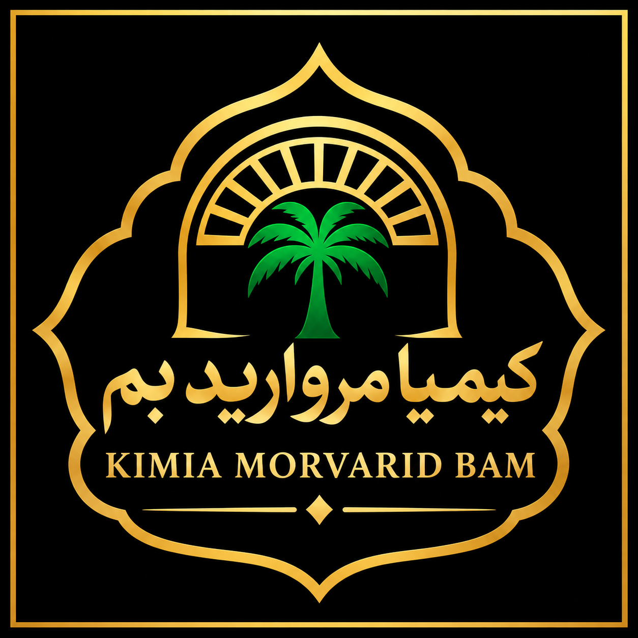 Premium Iranian Mazafati Dates
